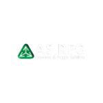 logo ASI Reggio Calabria